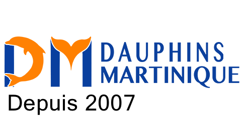 logo-dauphin-martinique-2007